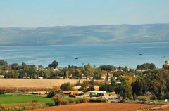 וילה מגדל 39